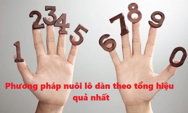 Phương pháp nuôi lô dàn theo tổng hiệu quả nhất