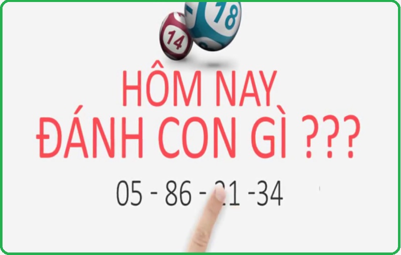 lo-de-hom-nay-danh-con-gi-1-1